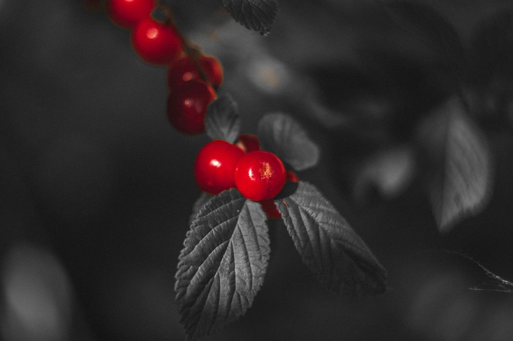 Photograph by Вадим Басов