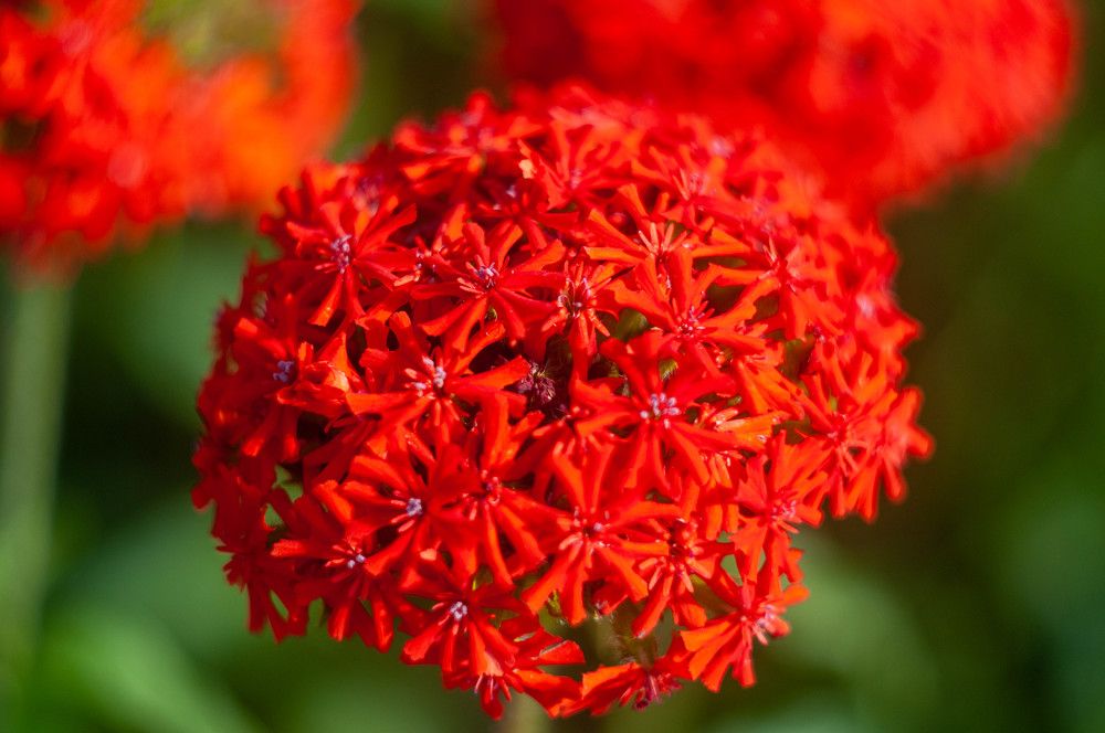 Photograph by Вадим Басов