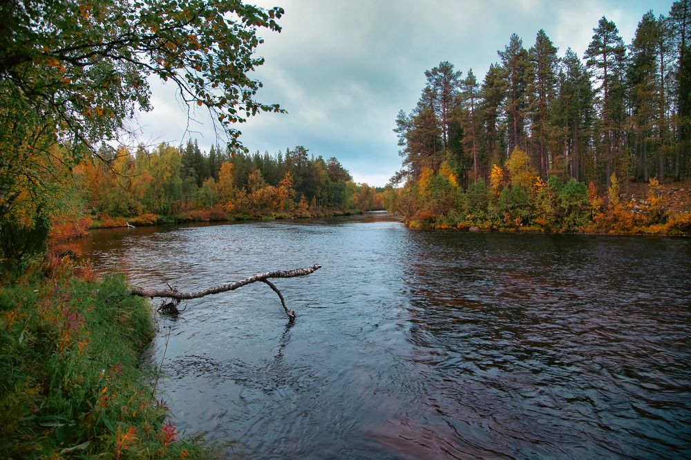Photograph by Покровский Алексей