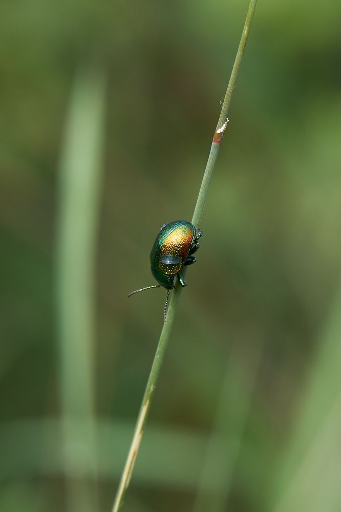 Photograph by Ирина Секачева