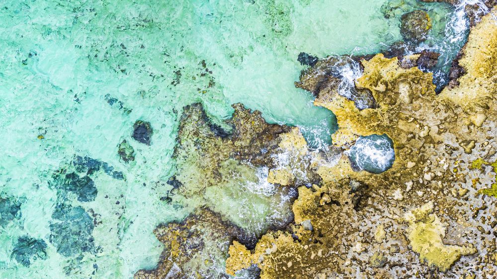 Photograph by Jorge Ivan Vasquez