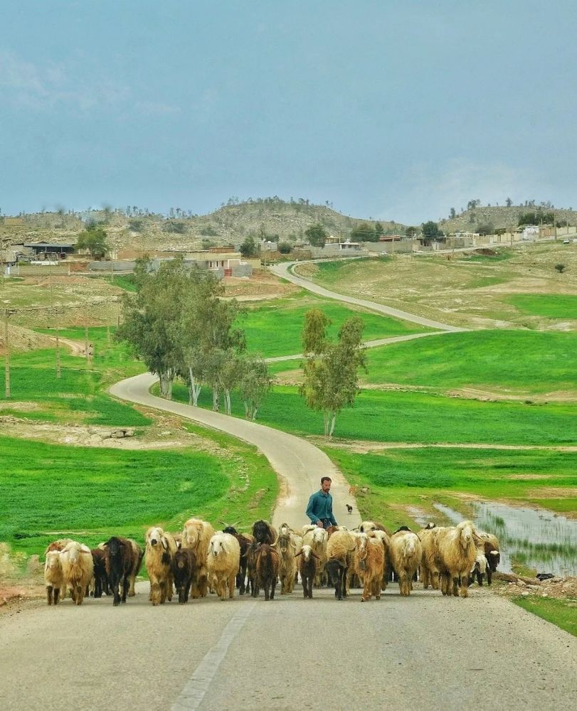 Photograph by Amin Golestanipour