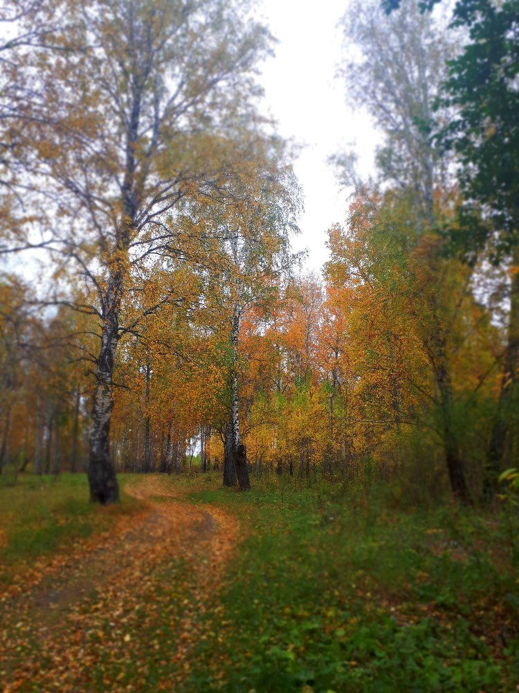 Photograph by Наталья Алексеевская