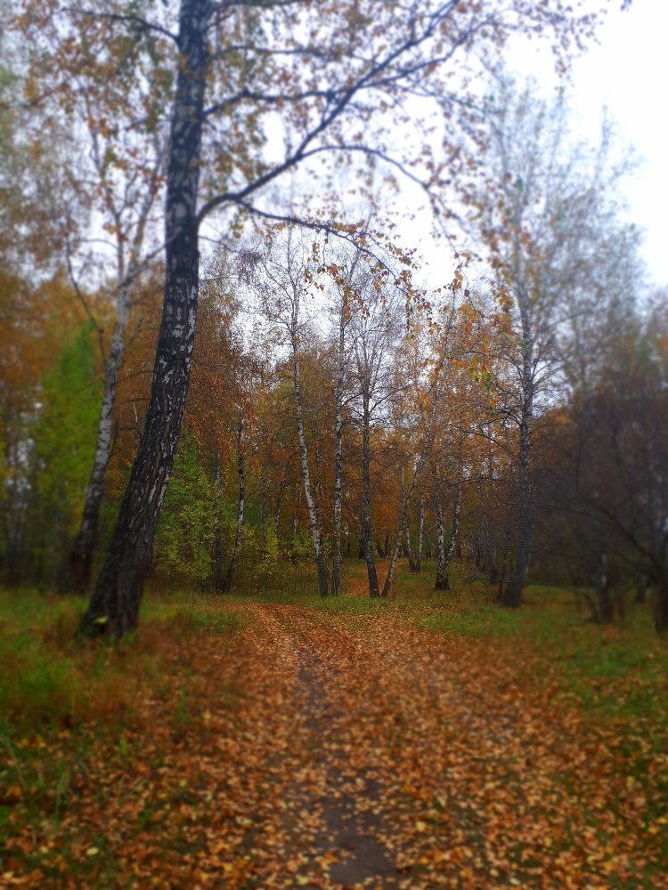 Photograph by Наталья Алексеевская