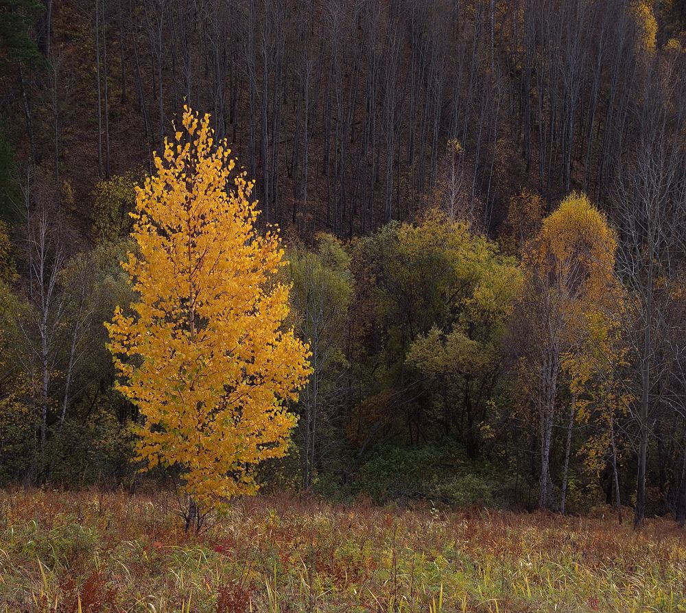 Photograph by Анатолий Васильев