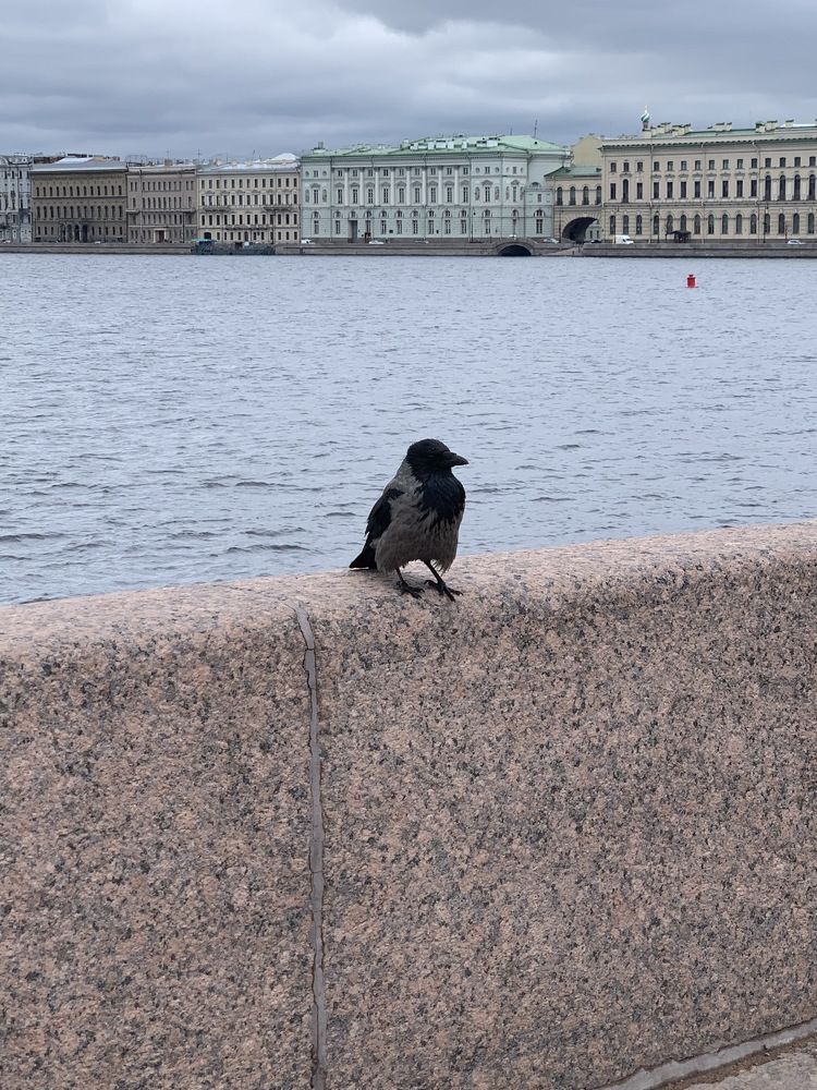 Photograph by Андрей Савицкий