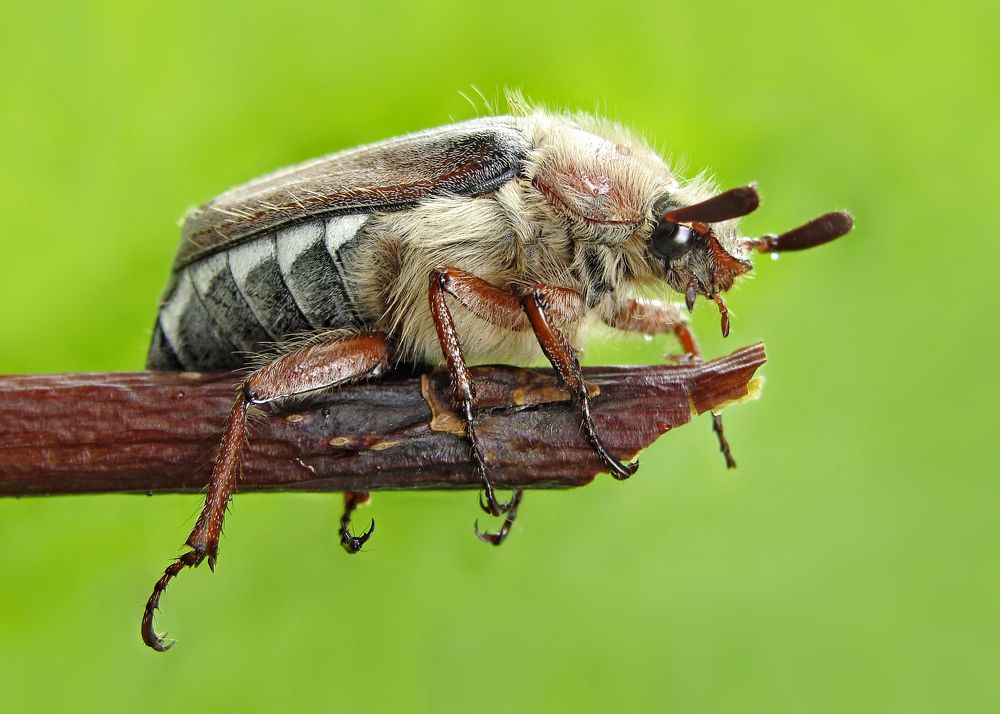 Photograph by Павел Колеснев