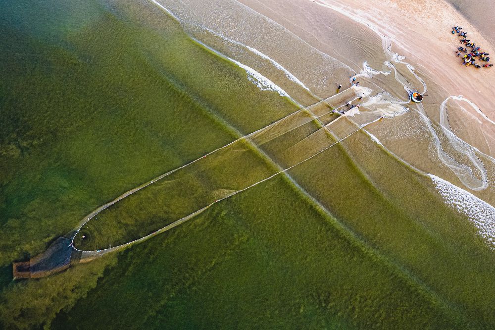 Kéo lưới đánh bắt cá cơm tại biển Chí Linh, TP Vũng Tàu, Việt Nam