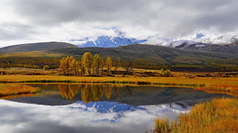 Фотография автора Андрей