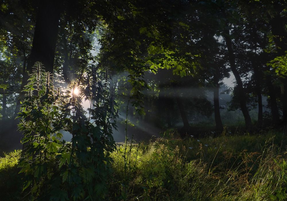 Photograph by Дмитрий Крылов