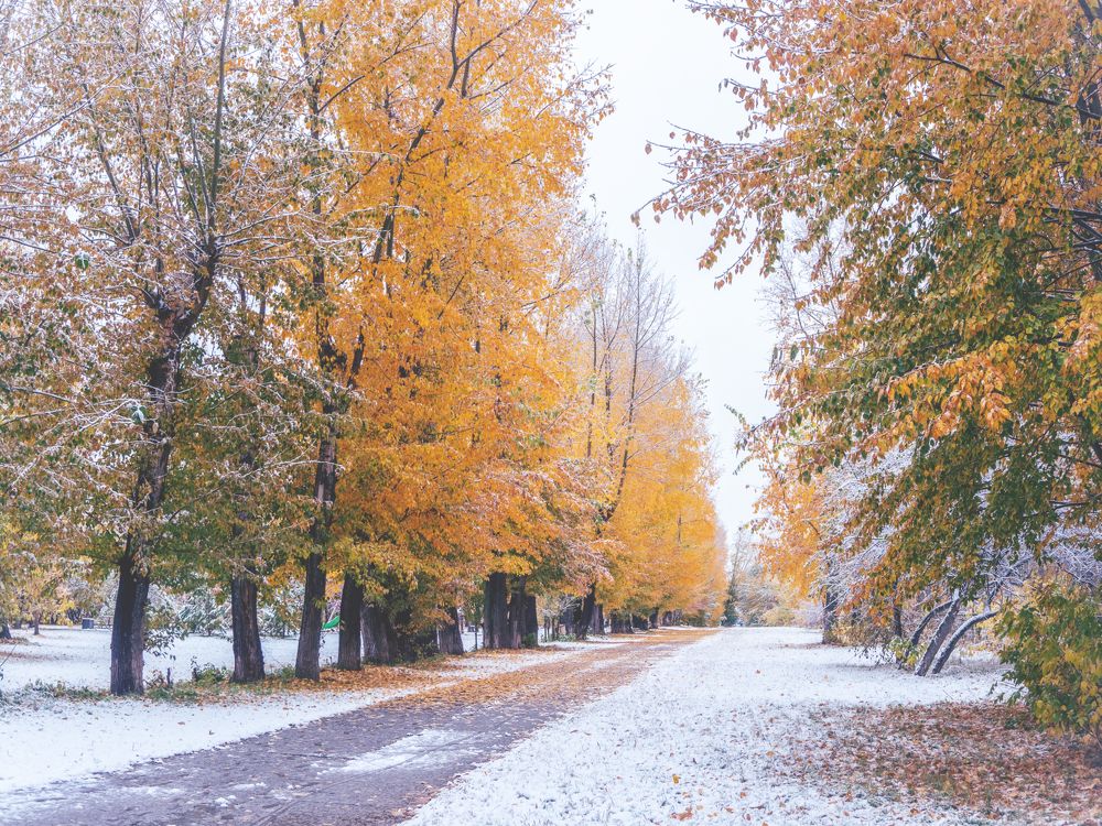 Photograph by Дмитрий Поварков