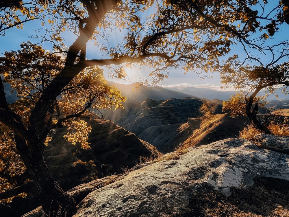 Photograph by Ирина Саакова