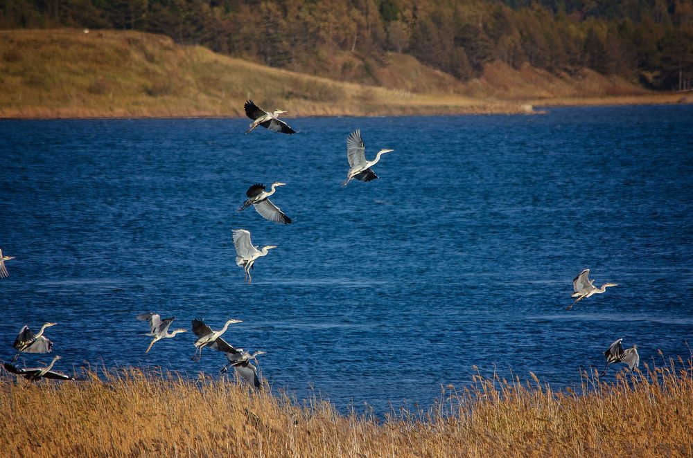 Photograph by Вероника Романенко