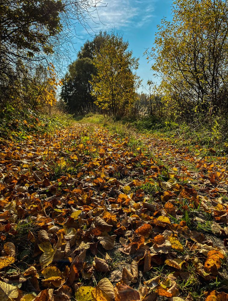 Photograph by Виктория Лаур
