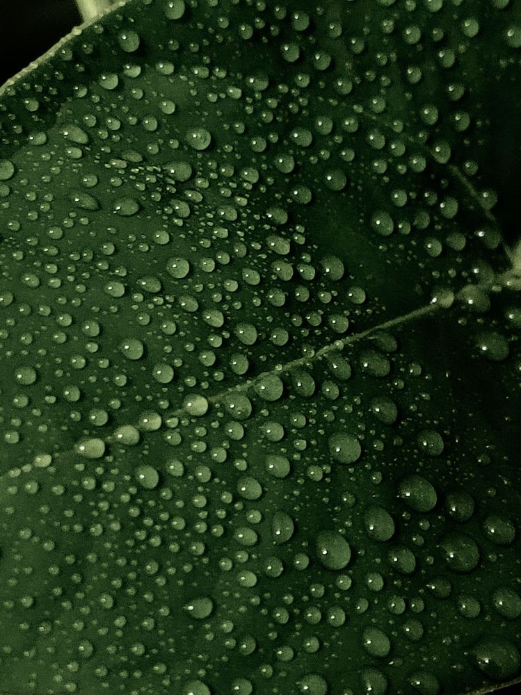 Photograph by Гульнара Зиангирова