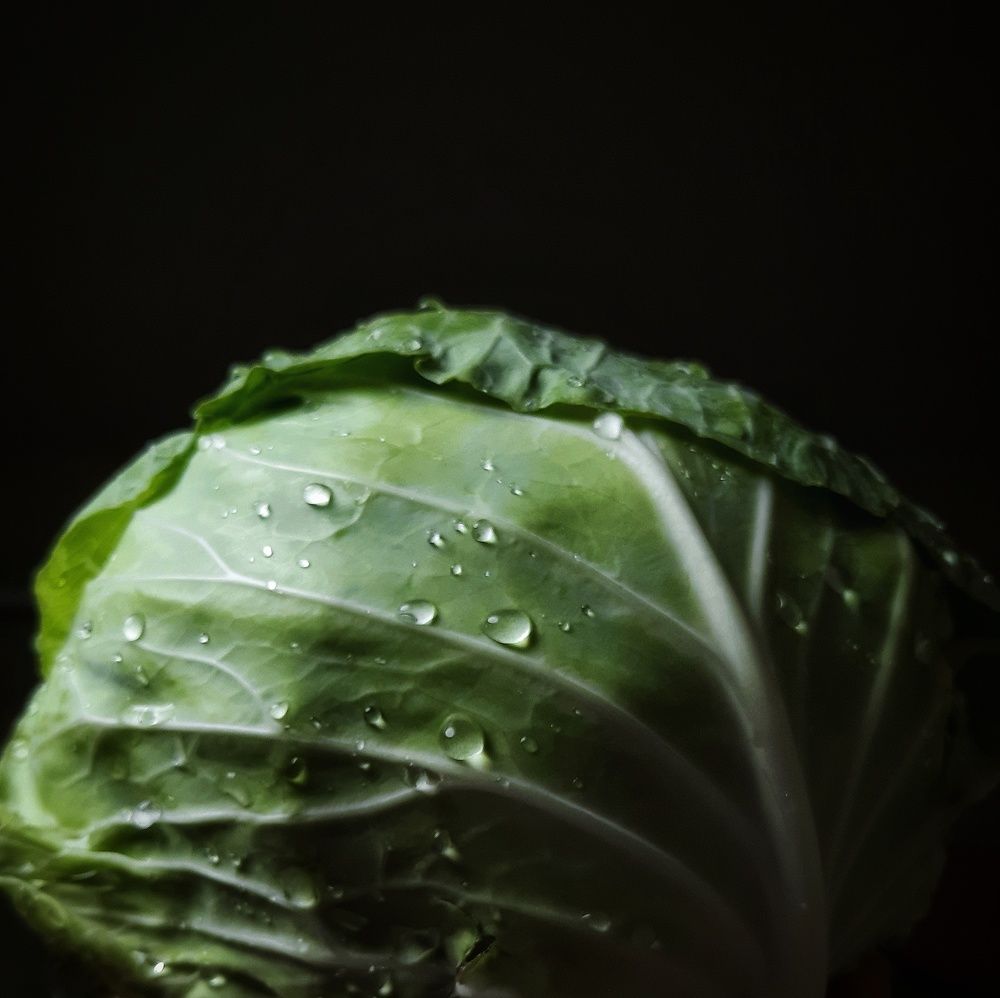 Фотография автора Ольга Кунакова