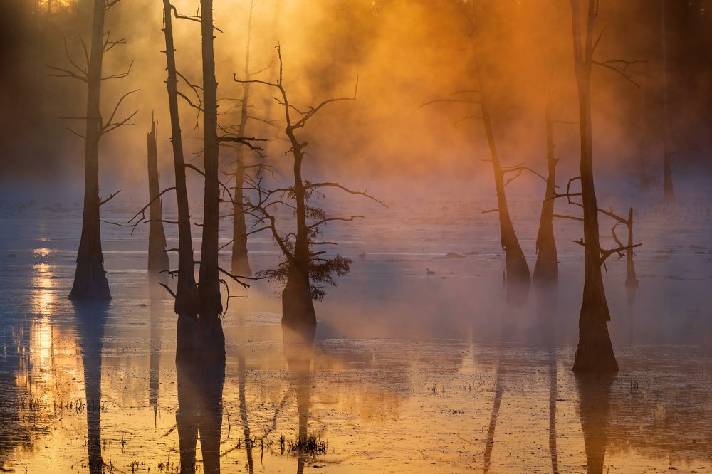 Photograph by Майк Рейфман