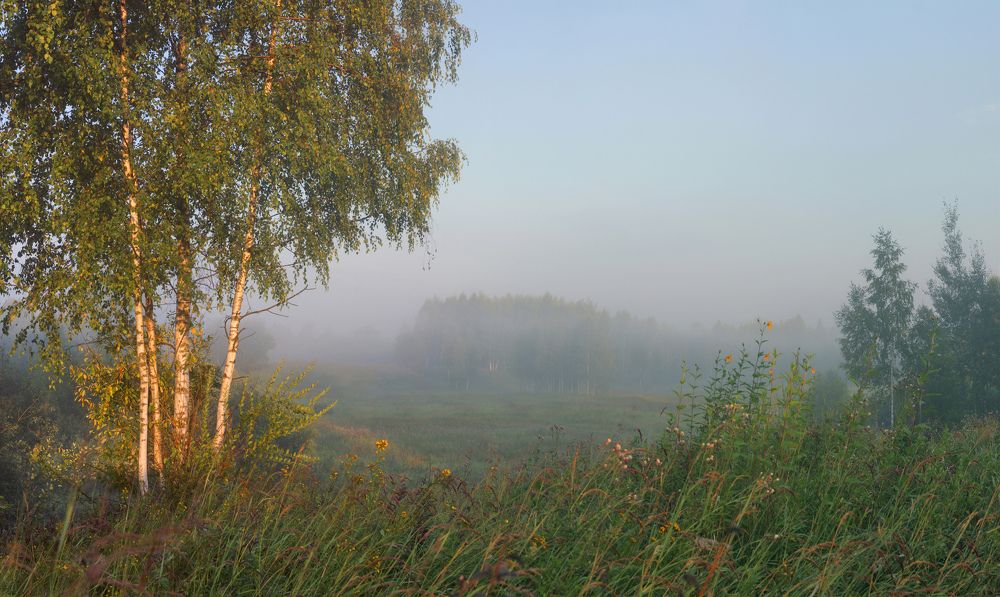 Photograph by doom44