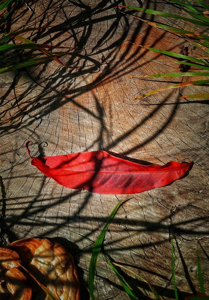 Photograph by Наталья Чередниченко