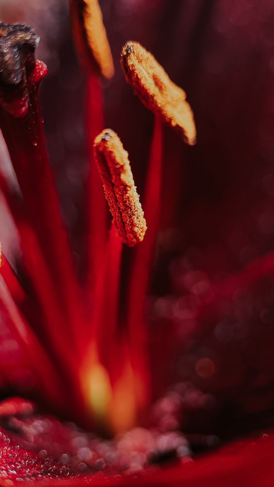 Photograph by Ирина Львова