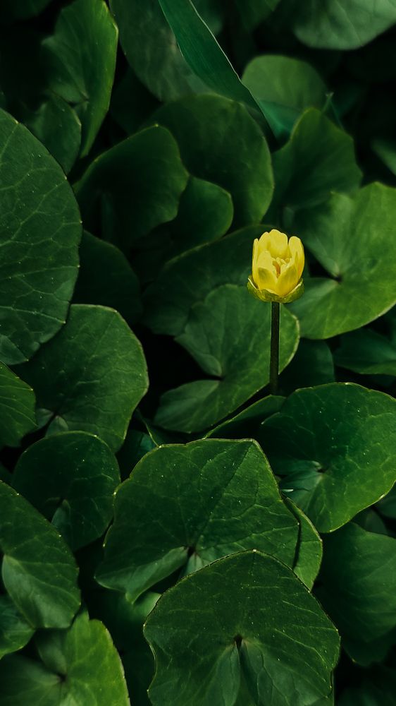 Photograph by Ирина Львова