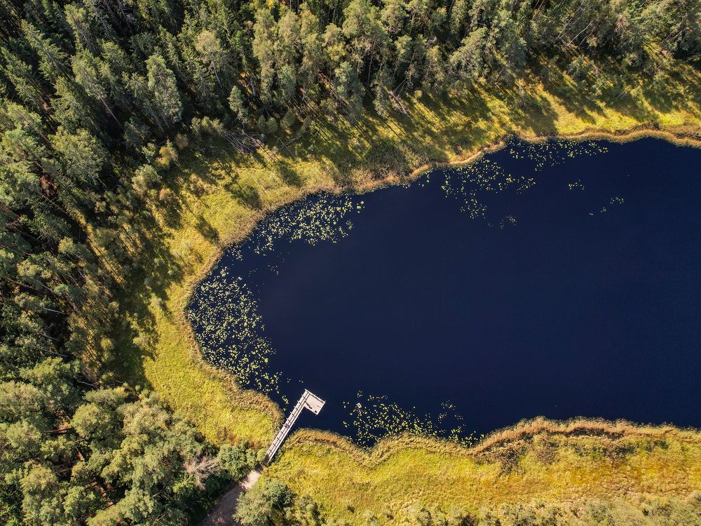 Photograph by Rasita Li