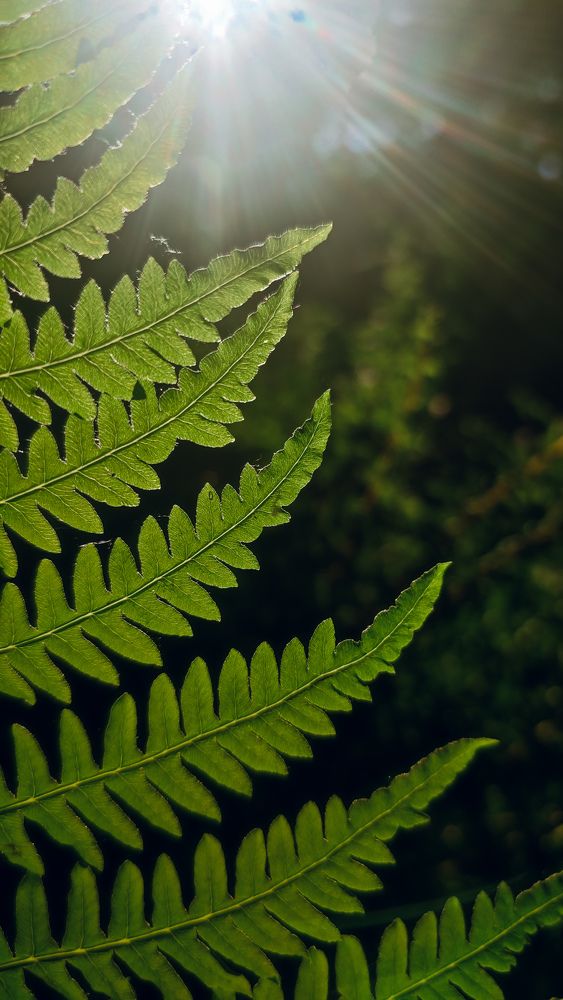 Photograph by Ирина Львова