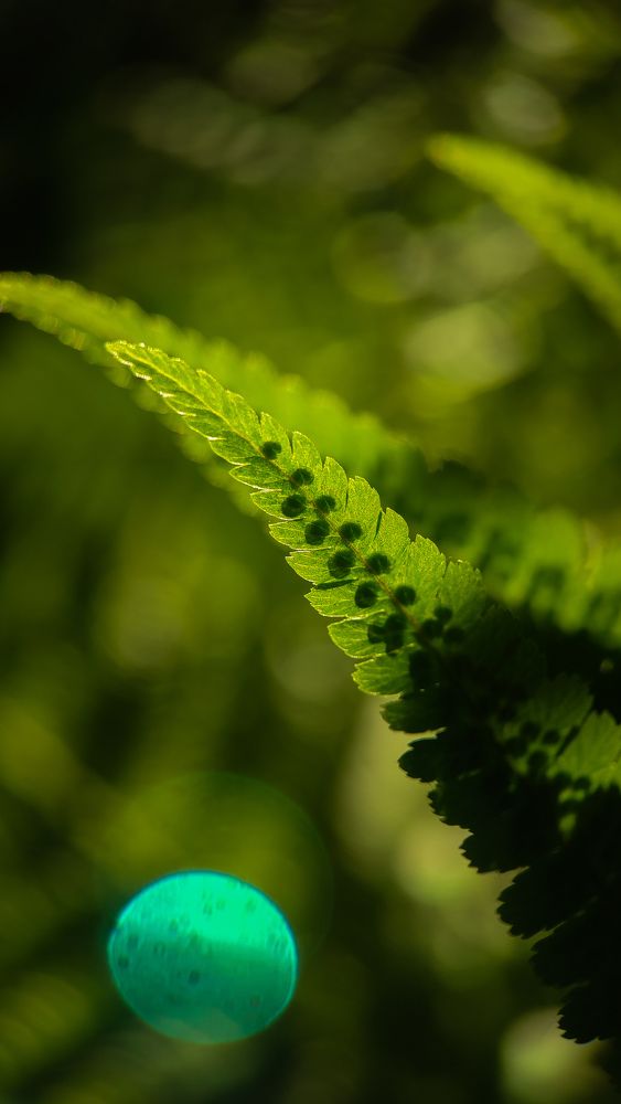 Photograph by Ирина Львова