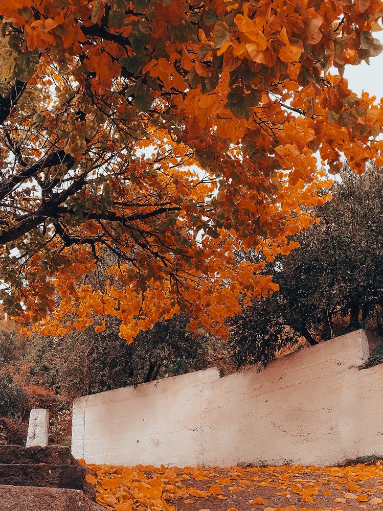 Photograph by Alexandra Sergeeva