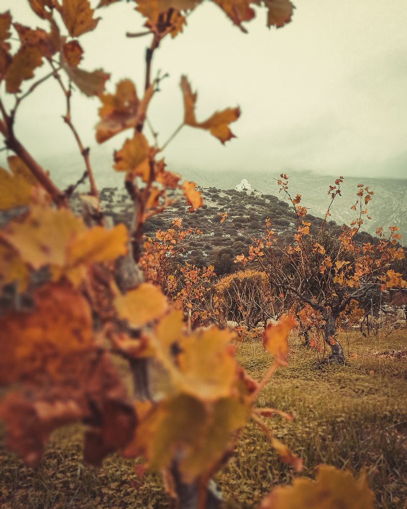 Photograph by Alexandra Sergeeva