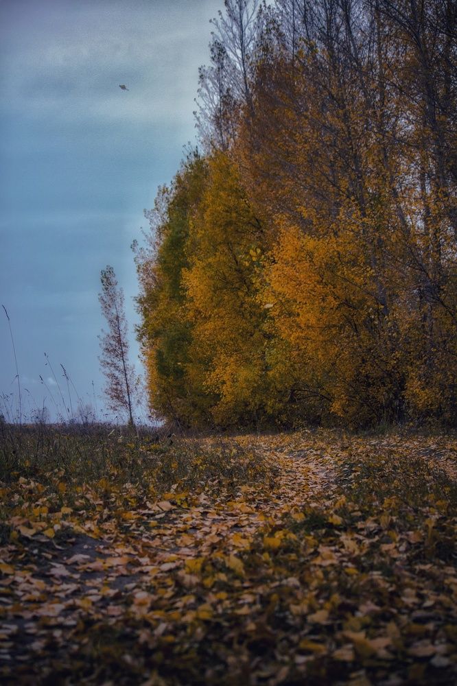 Photograph by Андрей Анкудинов