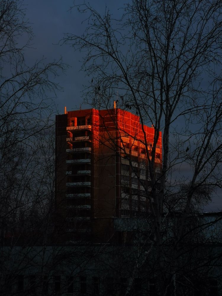 Photograph by Юлия Шарова