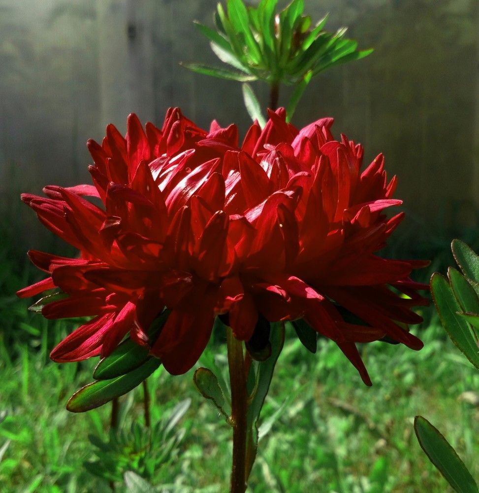 Фотография автора Eleonora