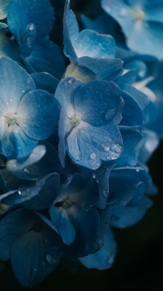 Photograph by Ирина Львова