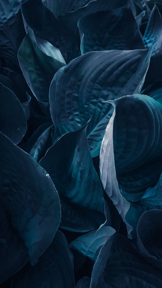 Photograph by Ирина Львова