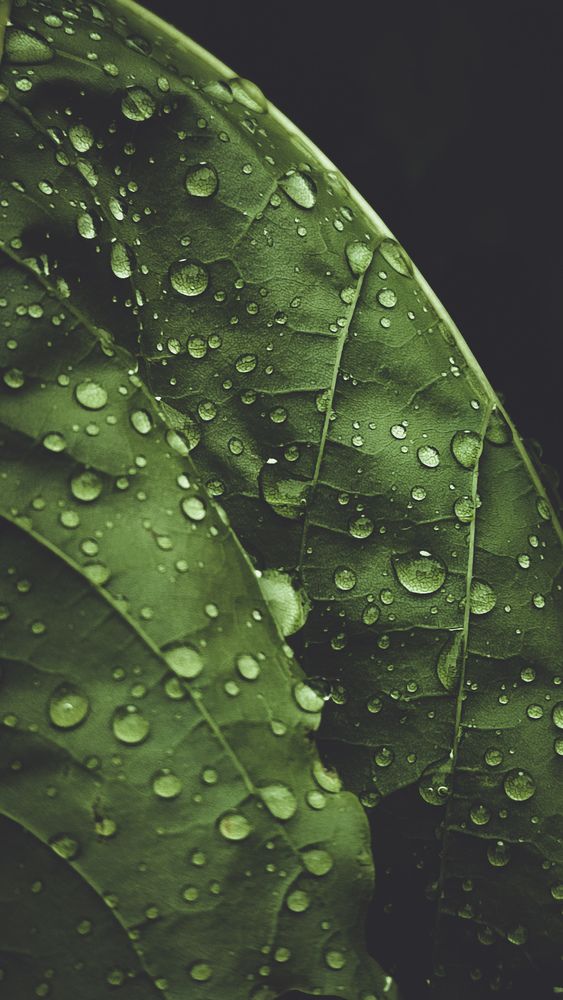 Photograph by Ирина Львова