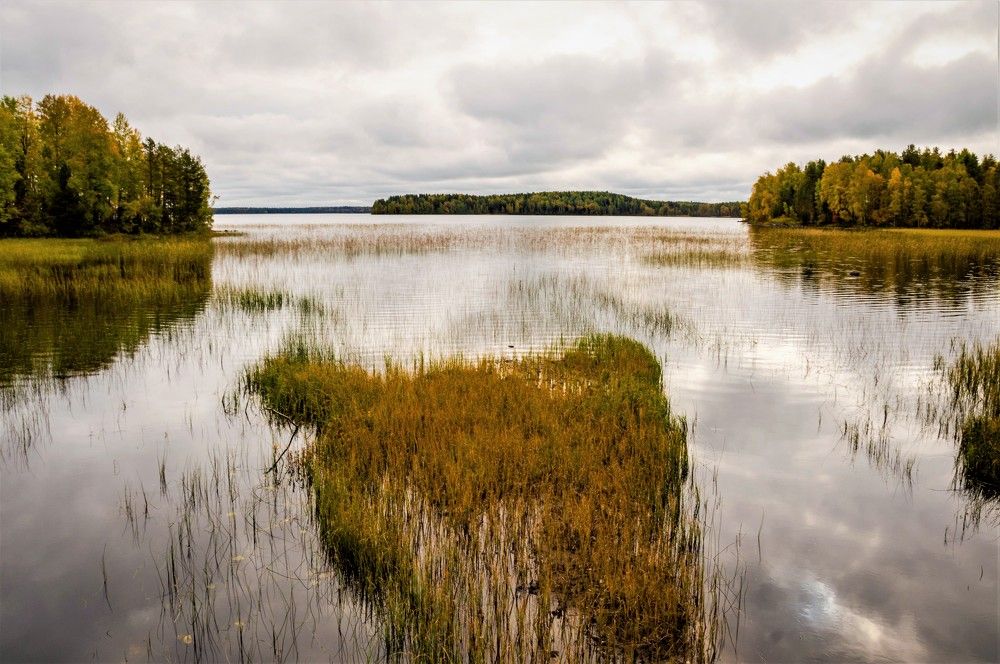 Photograph by Олег Менакер