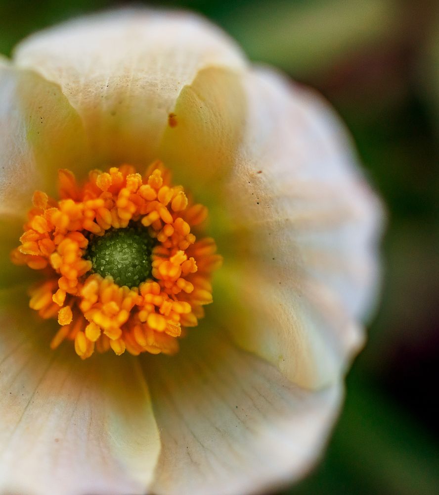 Photograph by Дмитрий Поварков