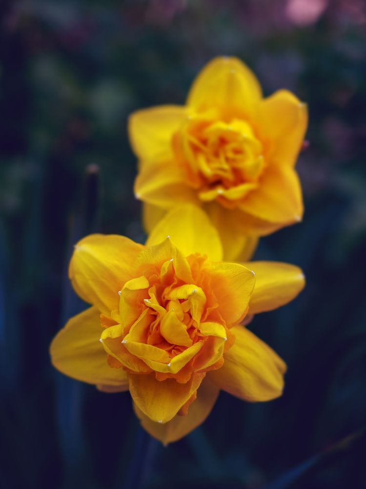 Photograph by Дмитрий Поварков