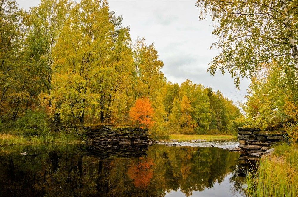 Photograph by Олег Менакер