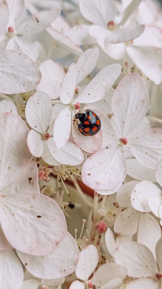 Photograph by Elena Kilina