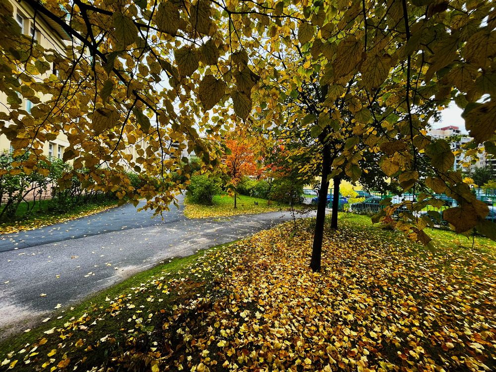 Листопад...!