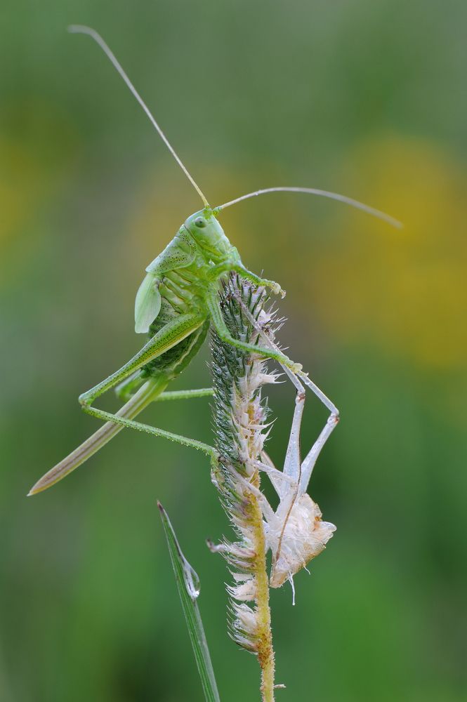 Модный приговор.