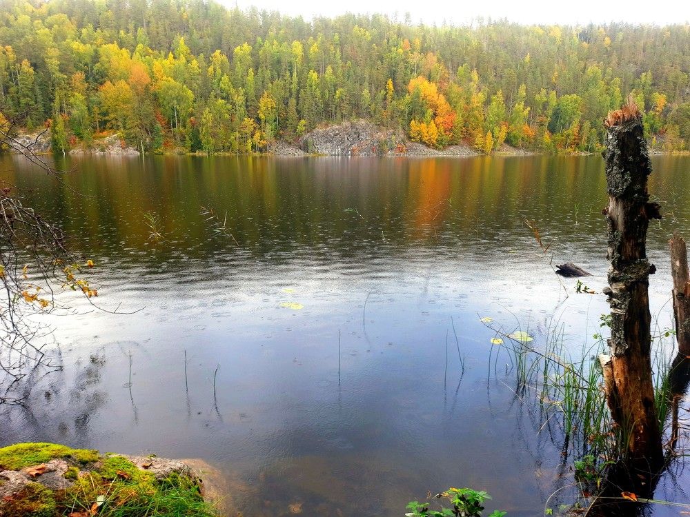 Photograph by Олег Менакер