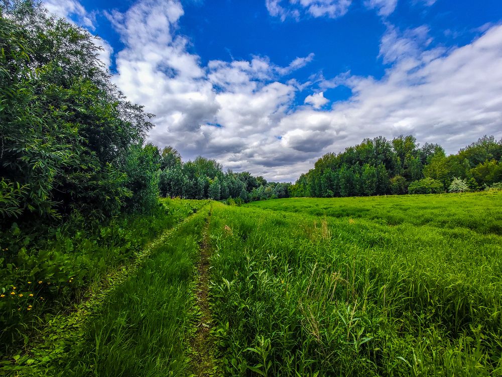 Photograph by Татьяна Радченко