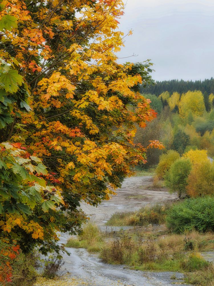 Photograph by Алексей Долженко