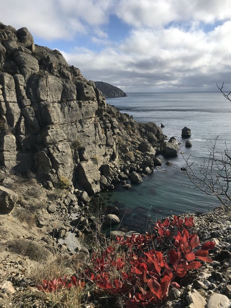 Photograph by Светлана Фесенко