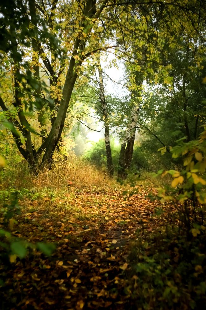 Фотография автора Владимир Барсуков