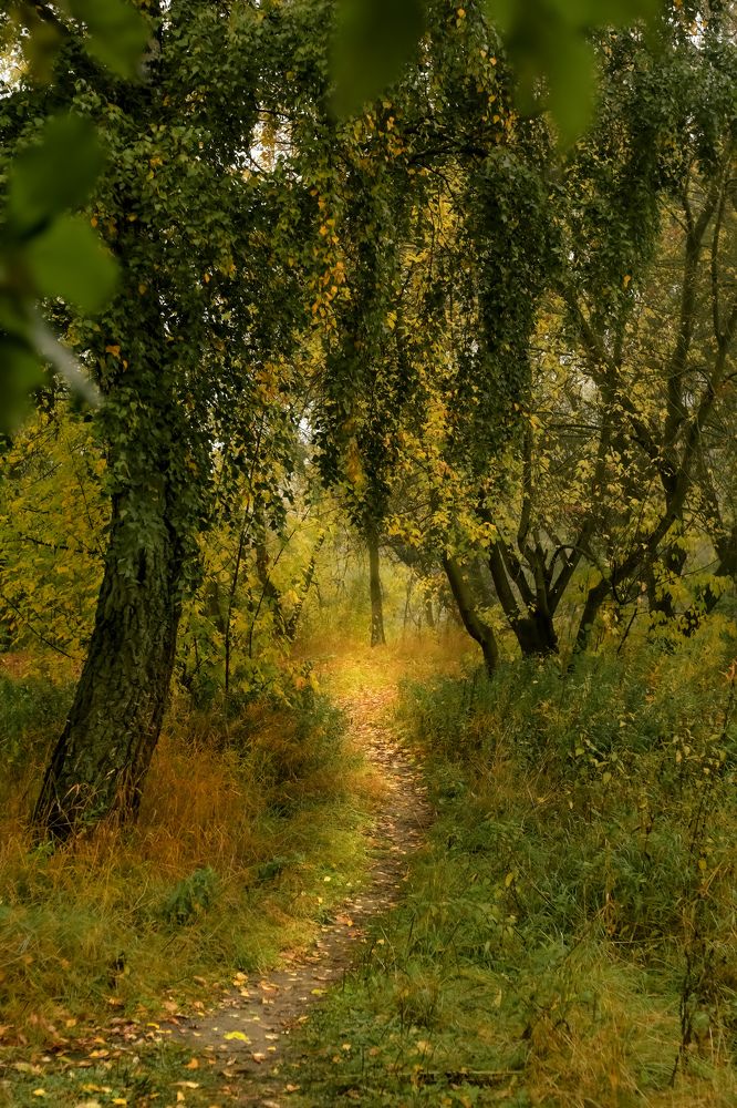 Фотография автора Владимир Барсуков