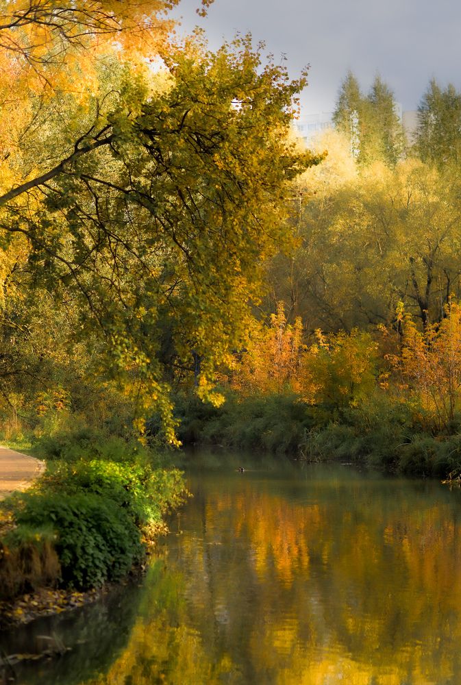 Фотография автора Владимир Барсуков